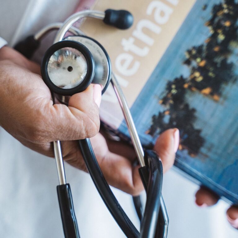 Regional Medical-Wellness Tourism Clusters and Patient Coordination for International Travelers